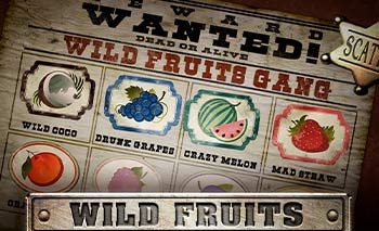 Wild Fruits